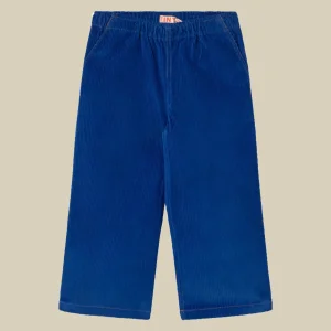 Pantalone in velluto blu elettrico