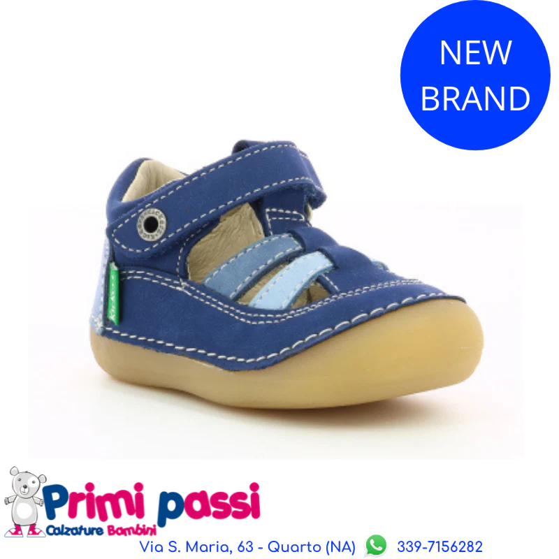 Sushy primo passo Blu Tricolor