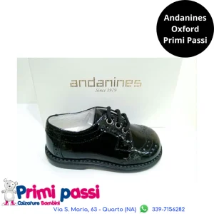 Oxfordina Nera Lucida (20-26)