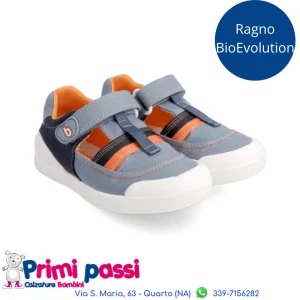 Ragno Tela BioEvolution Marino