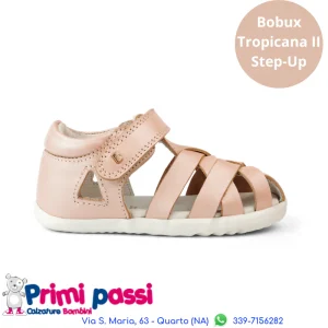 Tropicana II Rosa Seashell - Step Up