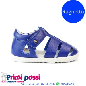 Tidal Blueberry - Step Up