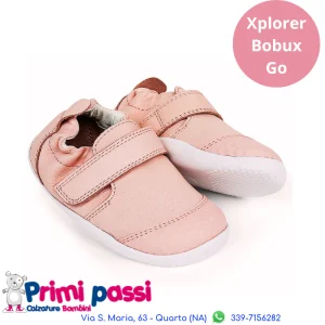 Xplorer Go - Seashell