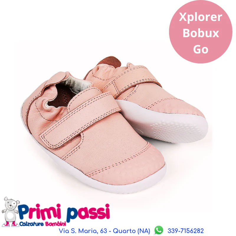 Xplorer Go - Seashell