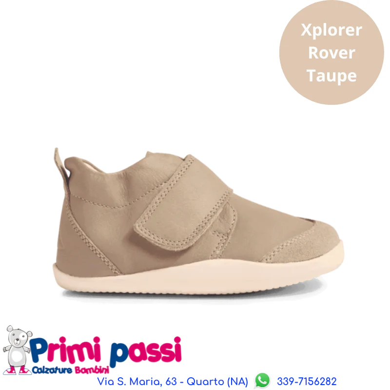 Xplorer Rover - Taupe - immagine 2