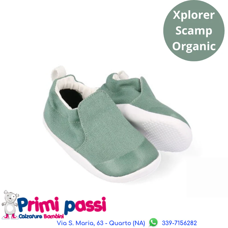 Xplorer Scamp Organic - Verde Salvia
