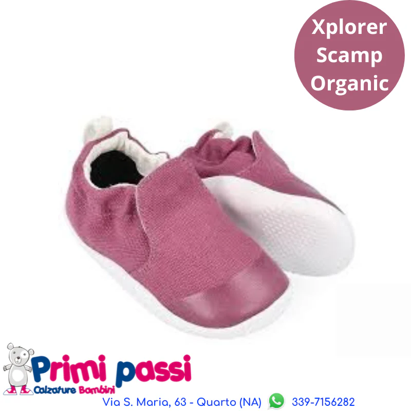 Xplorer Scamp Organic - Prugna